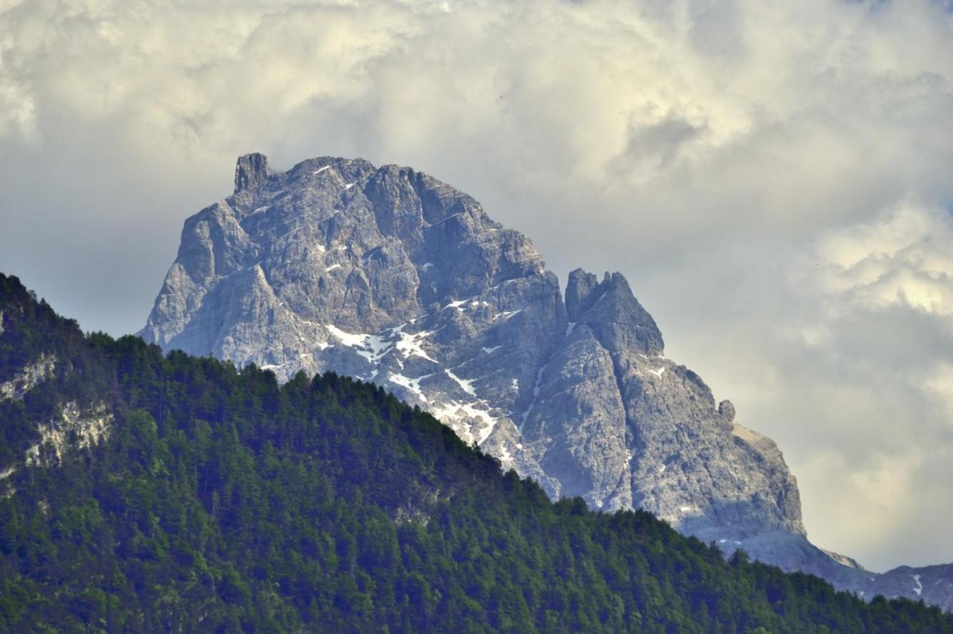 Agriturismo Borgo Damos Villa Valle di Cadore Eksteriør bilde