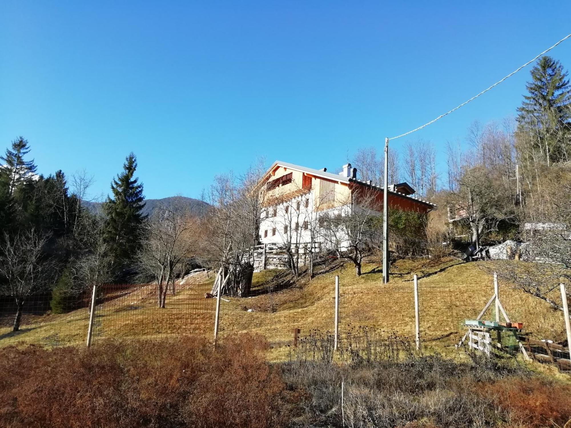 Agriturismo Borgo Damos Villa Valle di Cadore Eksteriør bilde