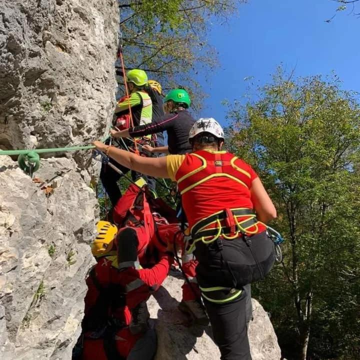 Agriturismo Borgo Damos Villa Valle di Cadore Eksteriør bilde