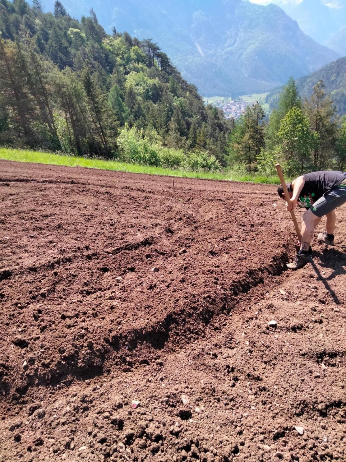 Agriturismo Borgo Damos Villa Valle di Cadore Eksteriør bilde