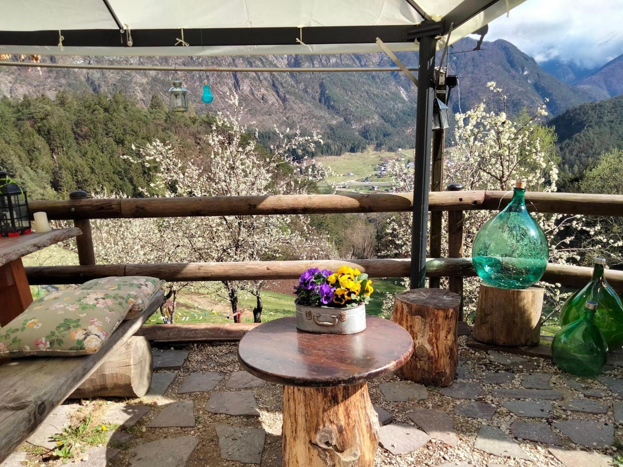 Agriturismo Borgo Damos Villa Valle di Cadore Eksteriør bilde